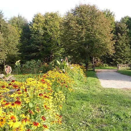 Gajowka * Węgorzewo