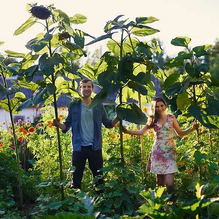 Vakantieboerderij Gajowka