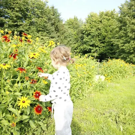 Gajowka * Węgorzewo