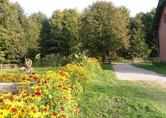 Gajowka * Венгожино